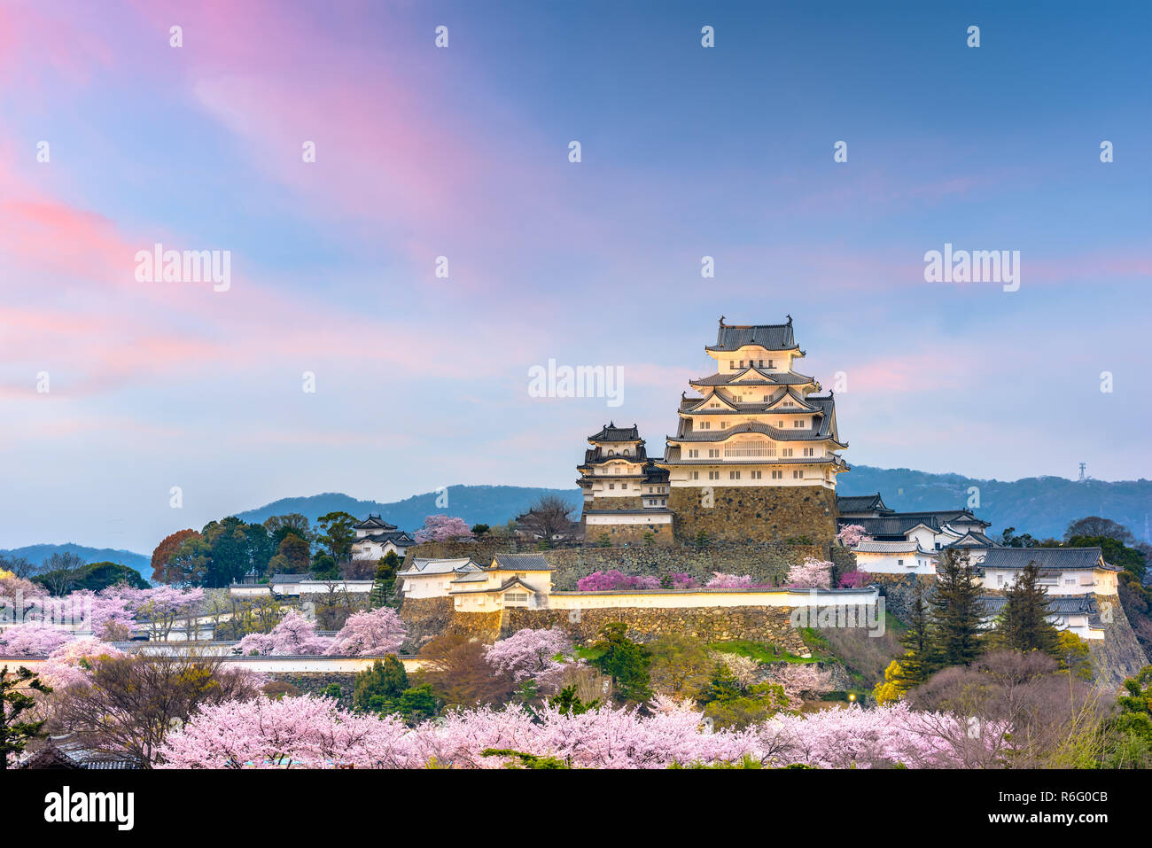 Himeji, Japan in Himeji Castle während Kirschblüte Frühjahrssaison. Stockfoto