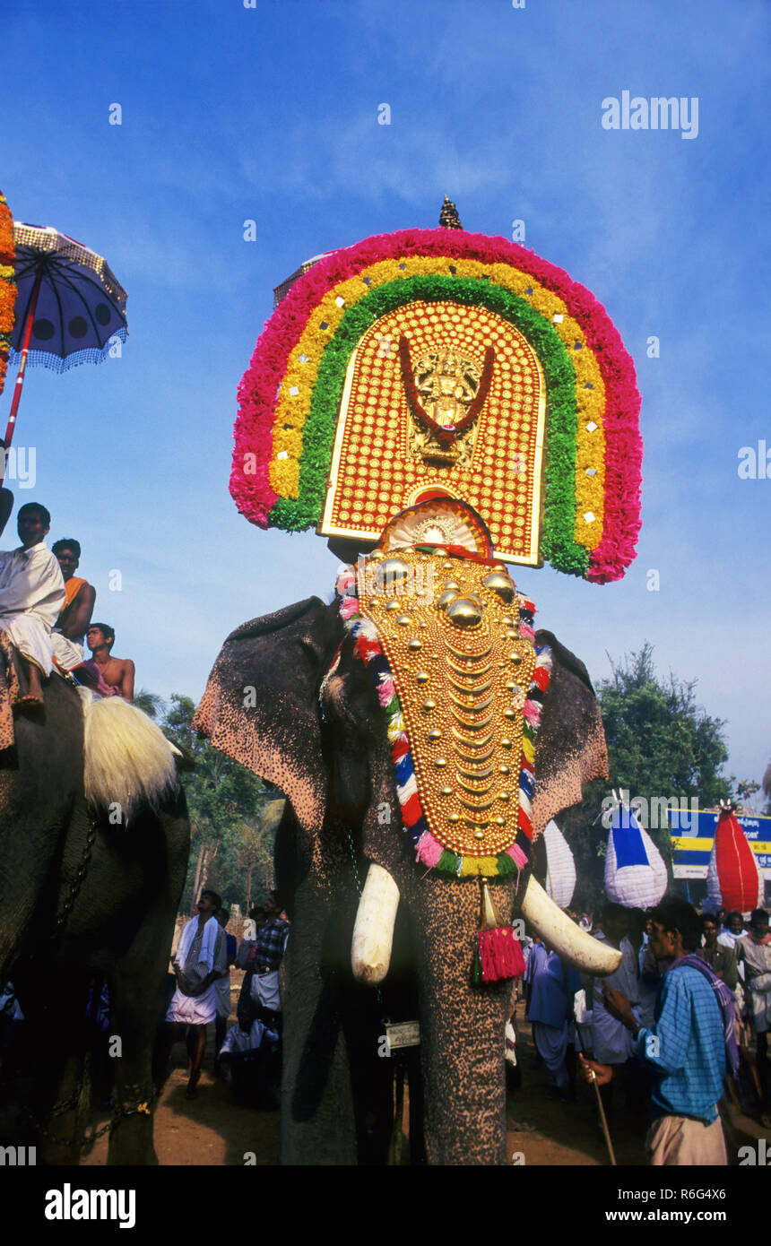 Elefanten Festival, Kerala, Indien Stockfoto