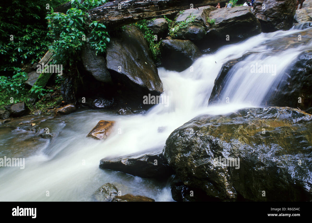 Palaruvi Wasserfälle, Ariankavu, Kerala, Indien Stockfoto