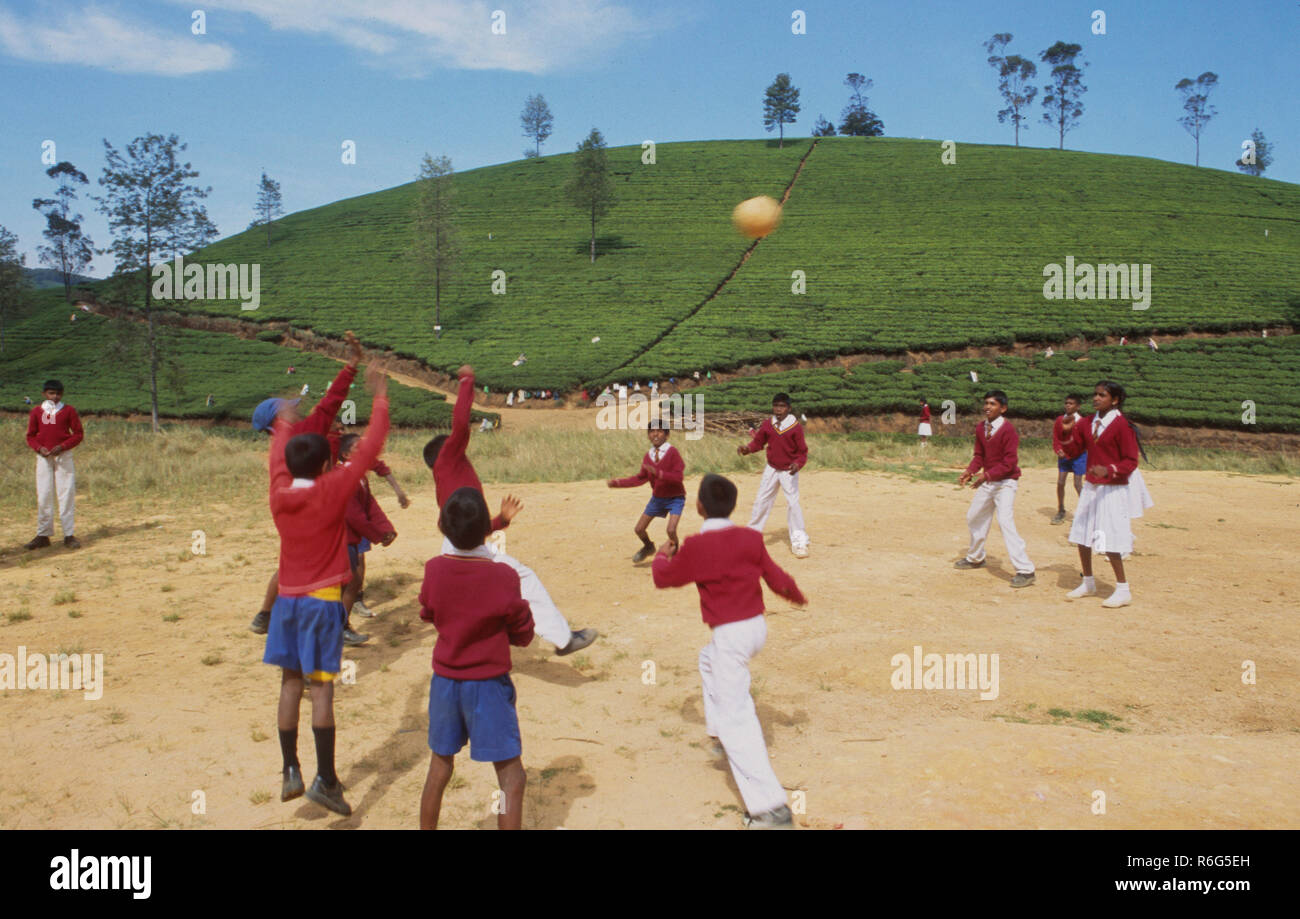 Schoolkids spielen eine Kugel in der Mitte der Teeplantagen in der Nähe von Nurya Eliya auf Sri Lanka Insel Stockfoto