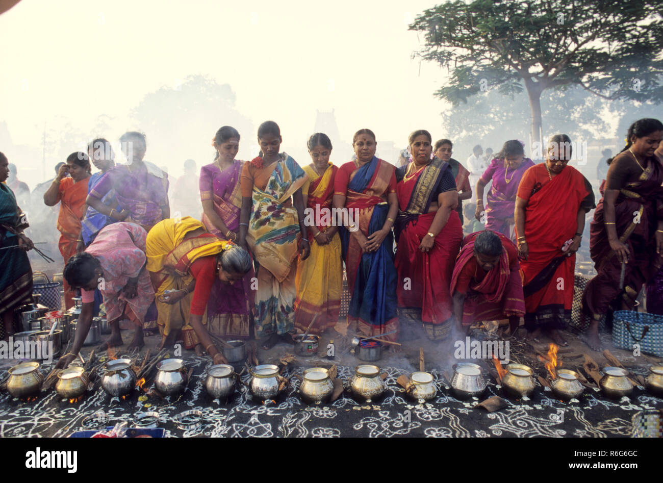 Pongal Festival, Thai Pongal Festival, Frauen kochen Reis und Milchgericht, Tamil Nadu, Indien, Asien Stockfoto