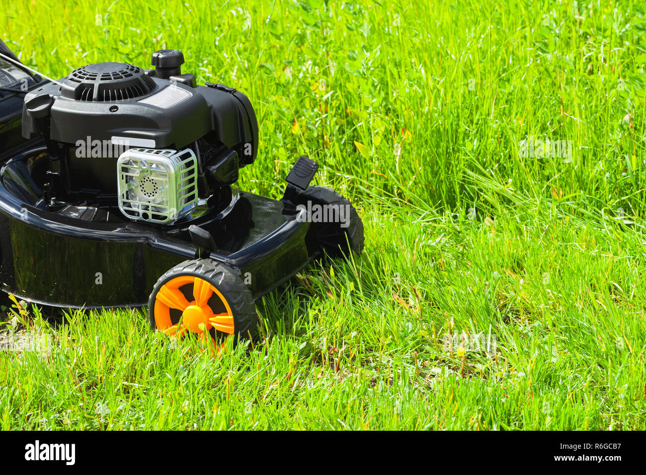 Grasmäher steht auf frischen grünen Rasen im Sommer Garten Stockfoto