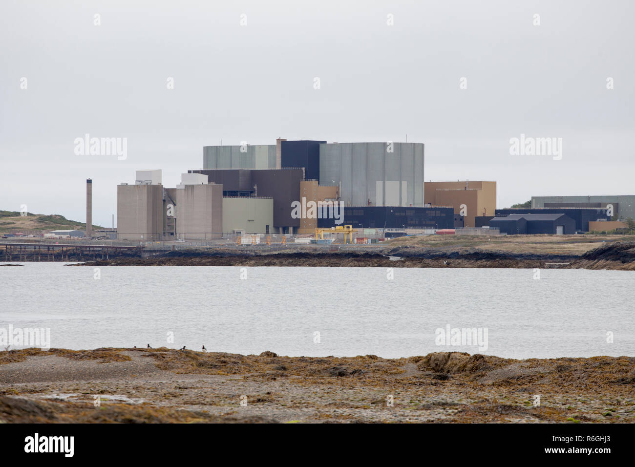 Wylfa Kernkraftwerk ist eine ehemalige Magnox Kraftwerk auf Anglesey in Wales. Es wird jetzt stillgelegt. Stockfoto