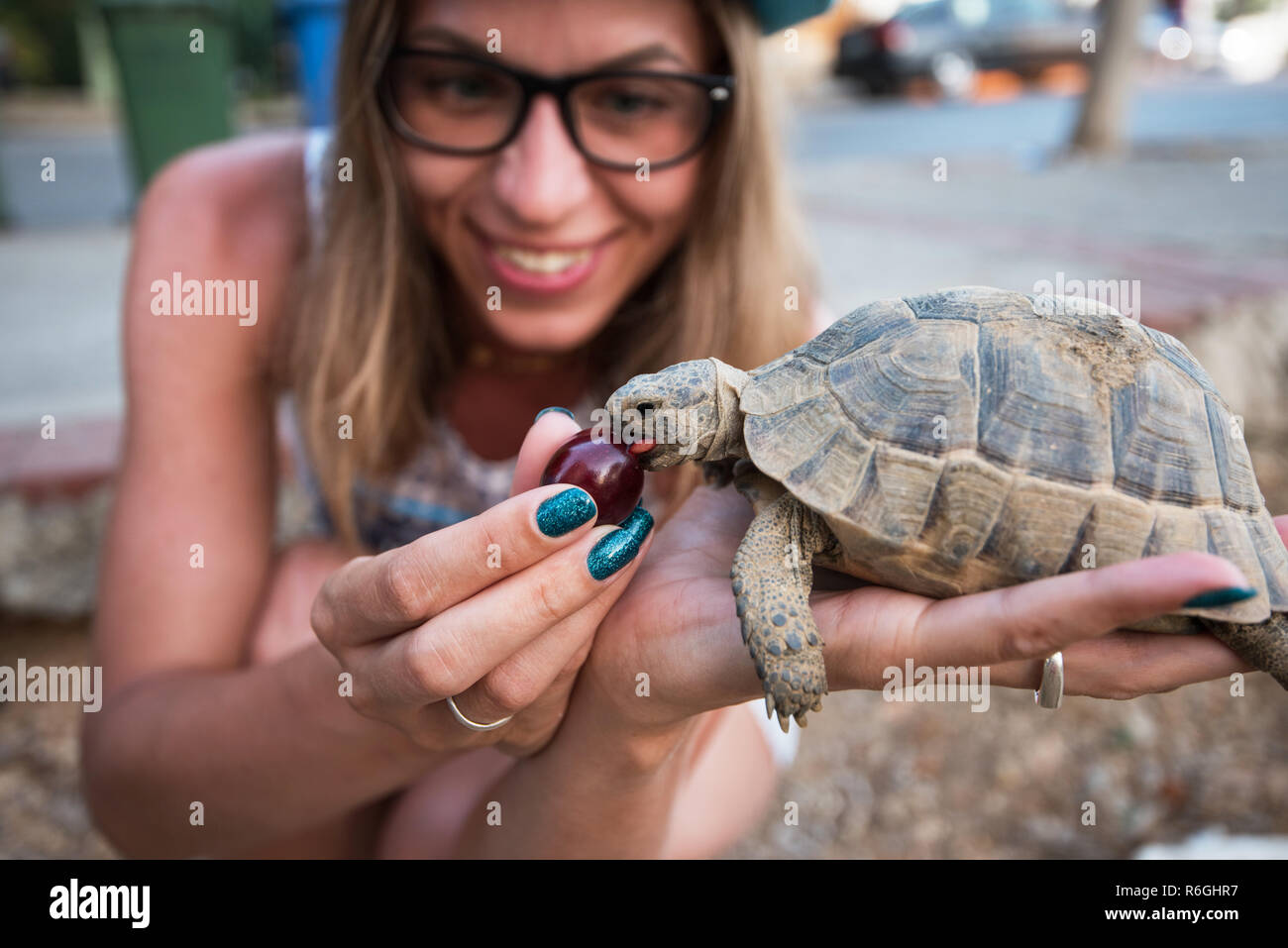 Frau, Fütterung Schildkröte Stockfoto