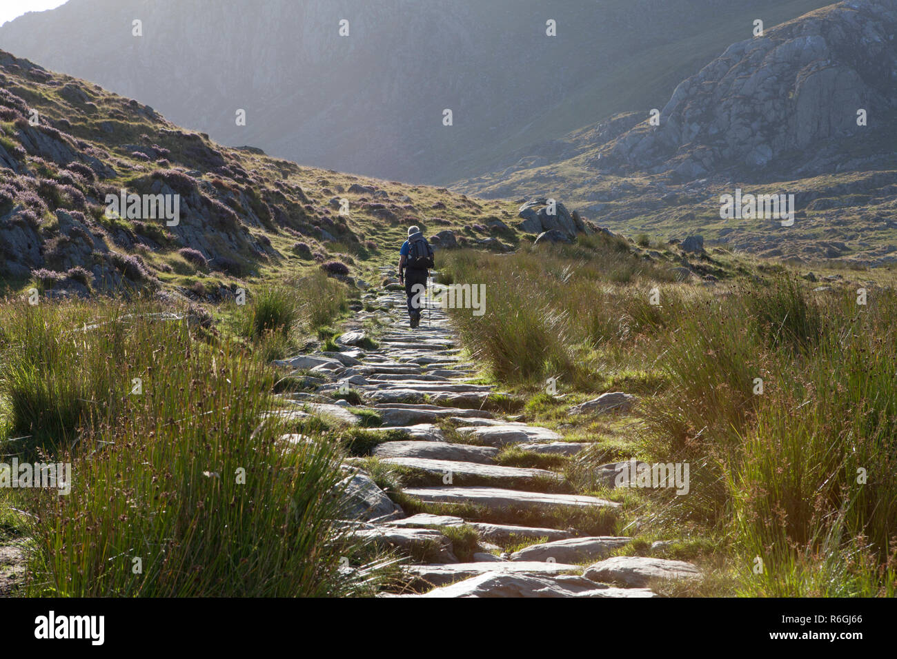 Ein Mann, der an den Anfang der Cwm Idwal Spaziergang in Snowdonia National Park in Wales. Stockfoto