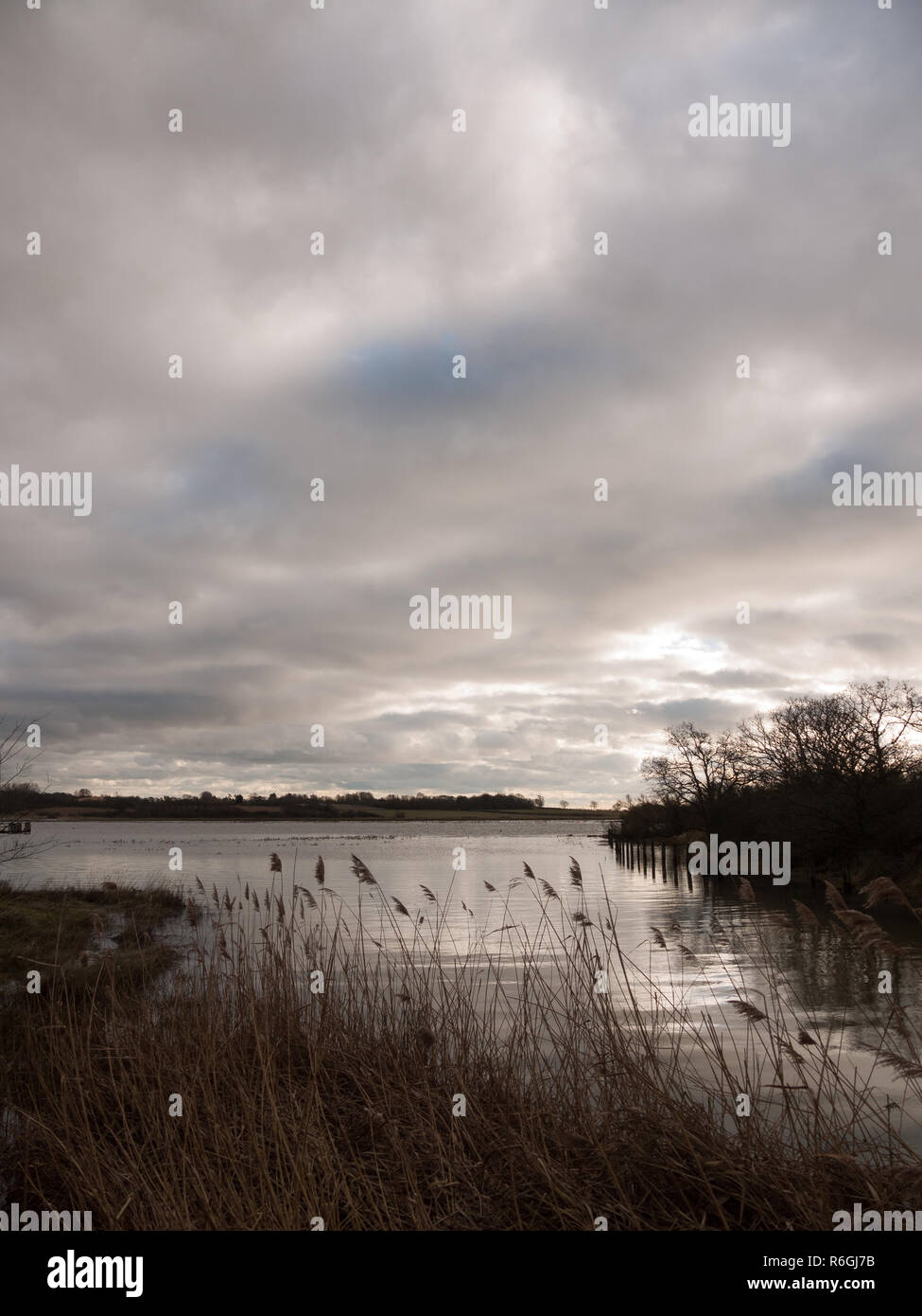 Uk Herbst Winter grau Cloudy Bay Szene außerhalb Fluss Niederlassungen Stockfoto