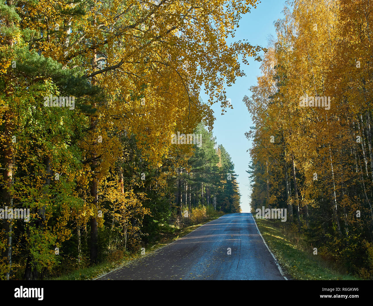 Herbst Farben und kleine Straße in Finnland. Stockfoto