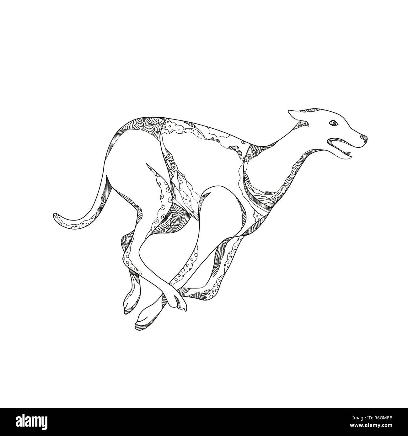 Grau - Hund - Laufen - Seite - DOODLE Stockfoto