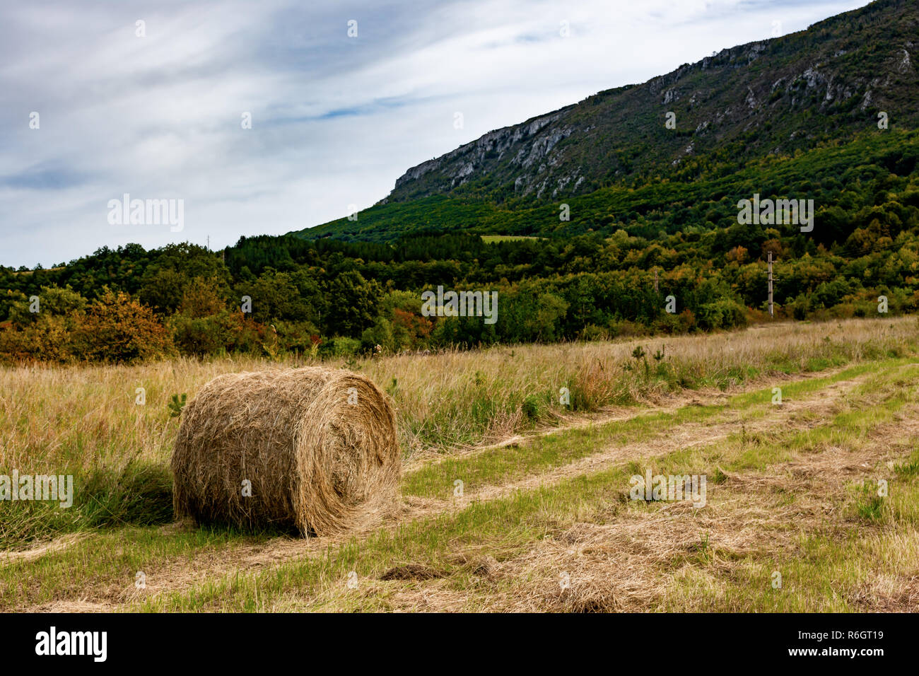 Hay. Landwirtschaft Feld mit mounatin und Sky. Ländliche Natur in der Farm Land. Stroh auf der Wiese. Weizen gelb Goldenen Ernte im Spätsommer. Stockfoto