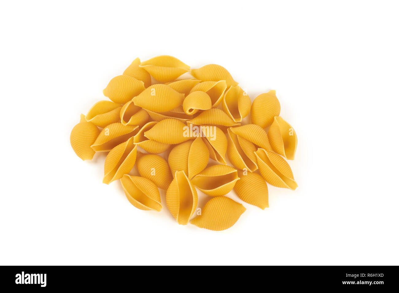 Conchiglioni Pasta, auf einem weißen Hintergrund. Stockfoto