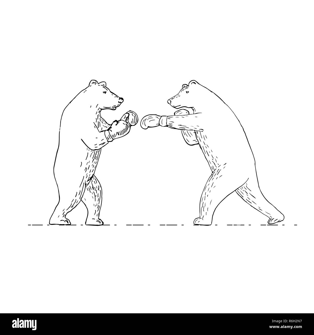 Zwei Grizzly Bear Boxer Boxen Zeichnung Stockfoto