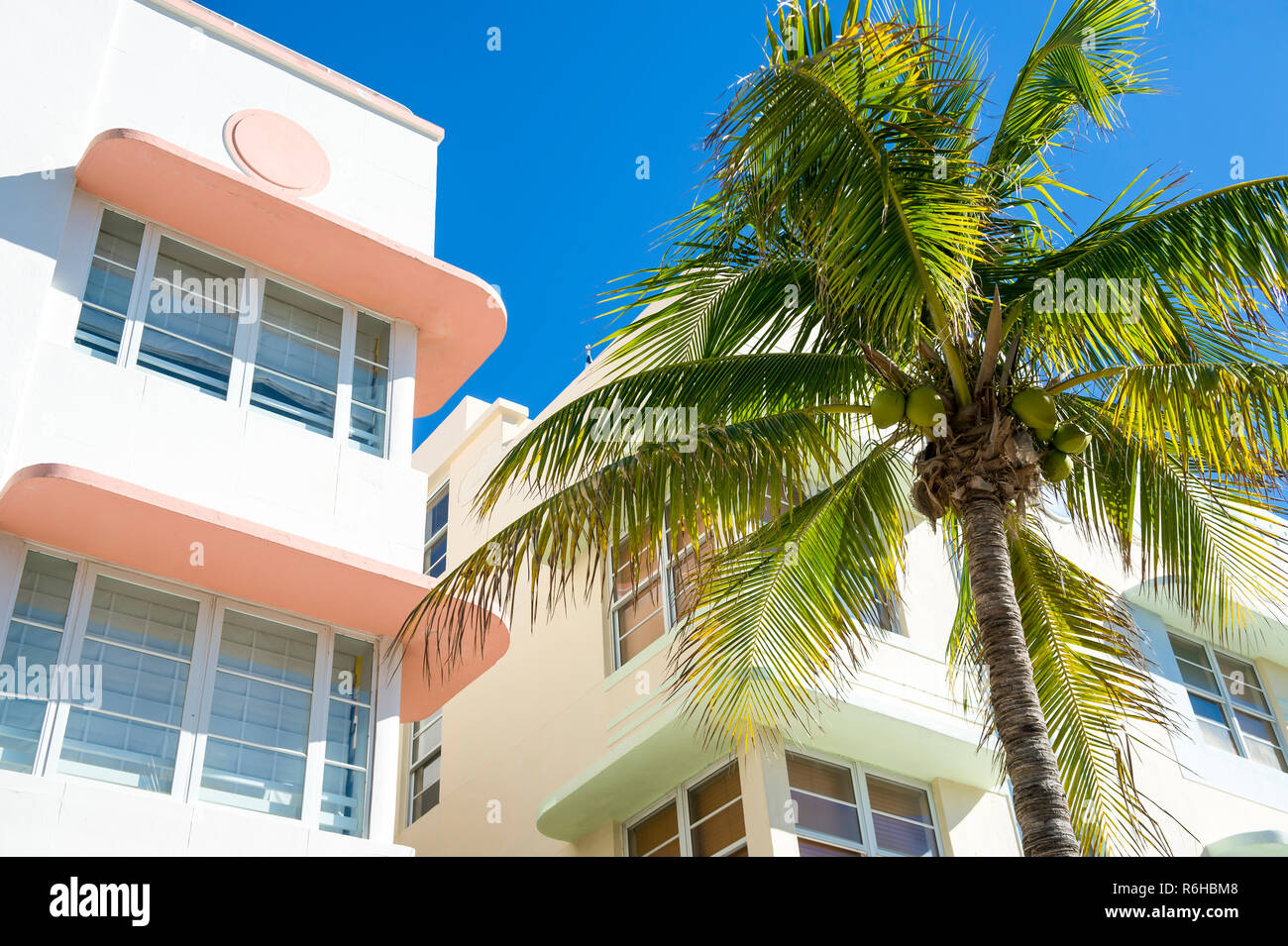 Helle scenic Detailansicht bunt geschwungene Art Deco Architektur mit tropischen Palme in South Beach, Miami, Florida, USA Stockfoto