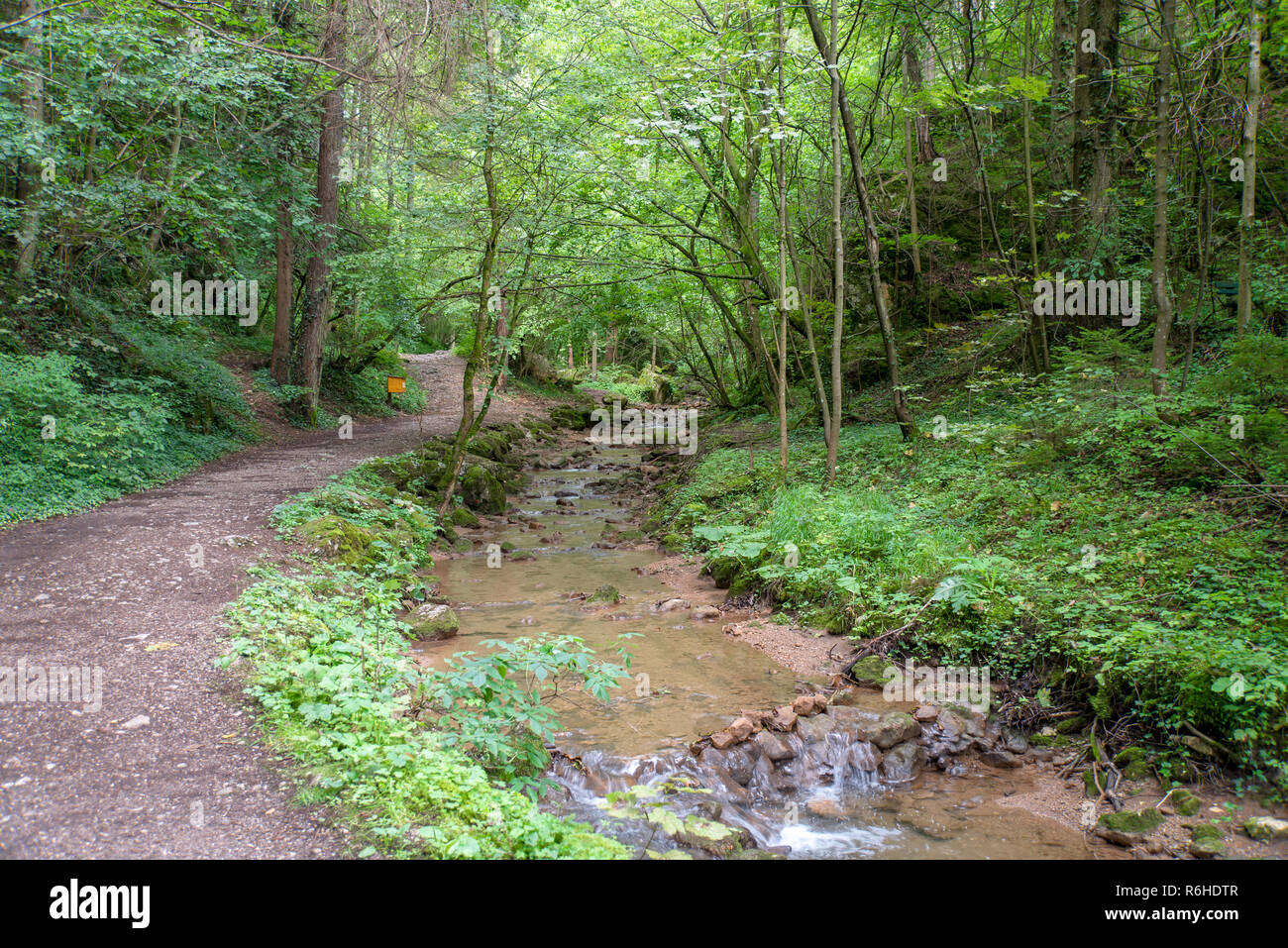 Die Johannesbachklamm (d. h., dass die Schlucht und Rinnsal von Saint John) ist ein beliebtes Ziel für Wanderer an der Ostseite der Alpen in Niederösterreich. Stockfoto