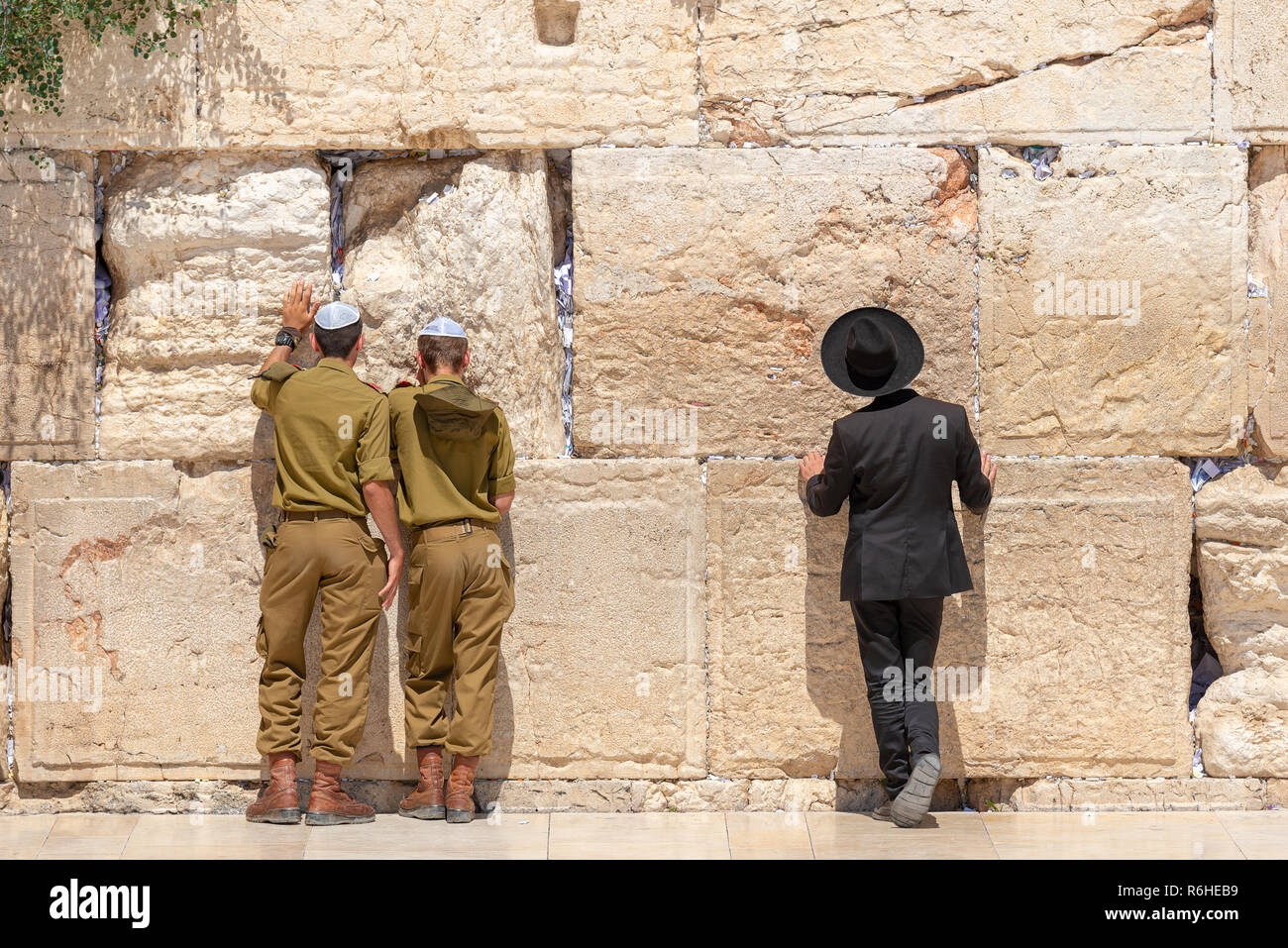 Jüdische orthodoxe Gläubige Lesen der Thora und zu beten, mit Blick auf die Westliche Mauer, auch als Klagemauer oder Kotel in der Altstadt in Jerusalem, Israel bekannt. Stockfoto