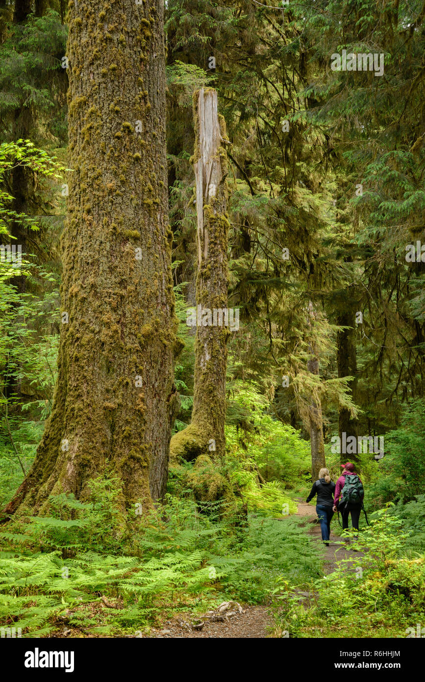 Zwei Frauen wandern auf Hoh River Trail, Hoh Regenwald, Olympic National Park, Washington. Stockfoto