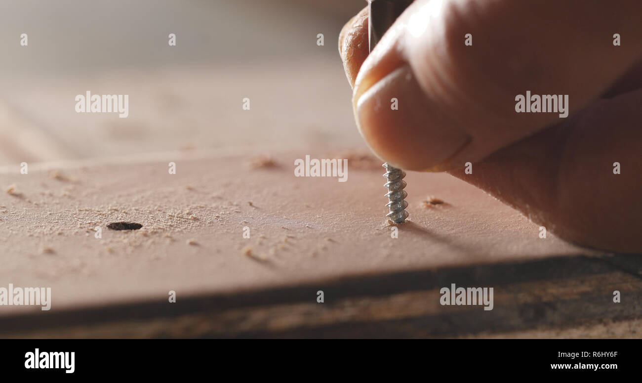 Handwerker treibt die Schraube in die holzplatte Stockfoto