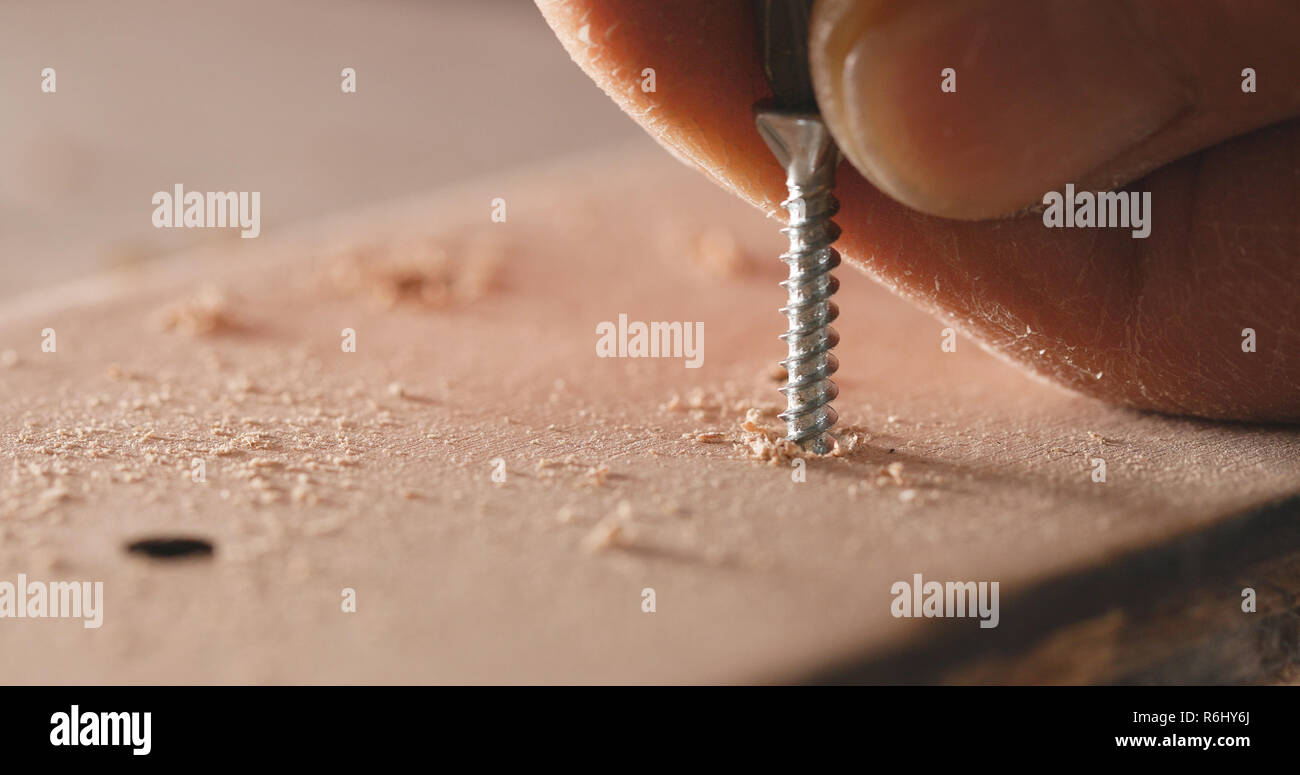 Handwerker treibt die Schraube in die holzplatte Stockfoto