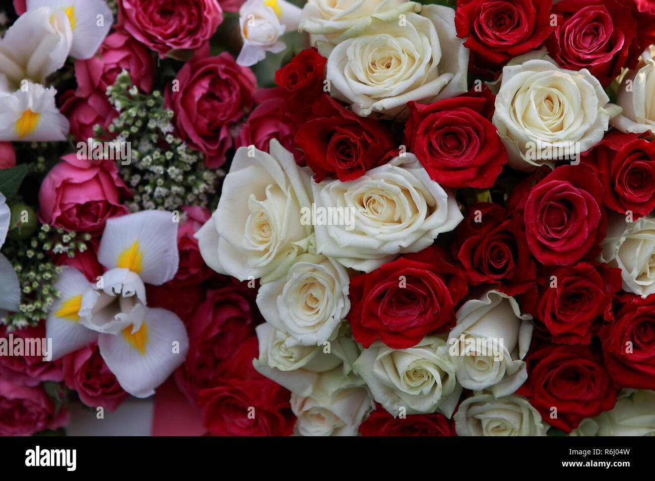 Riesige, wunderschöne Blumenstrauß aus den vielfarbigen Rosen und Blumen Stockfoto