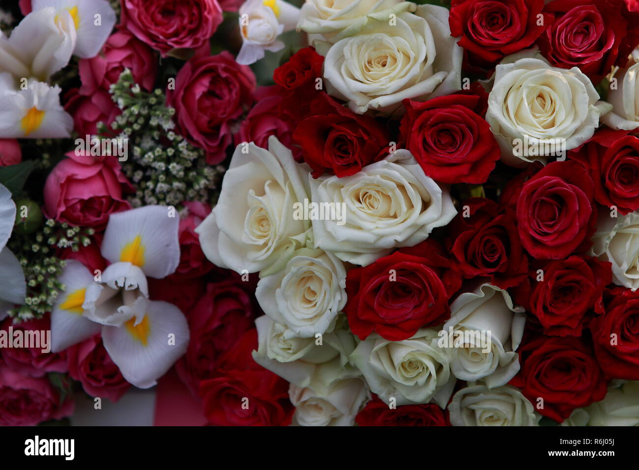 Riesige, wunderschöne Blumenstrauß aus den vielfarbigen Rosen und Blumen Stockfoto