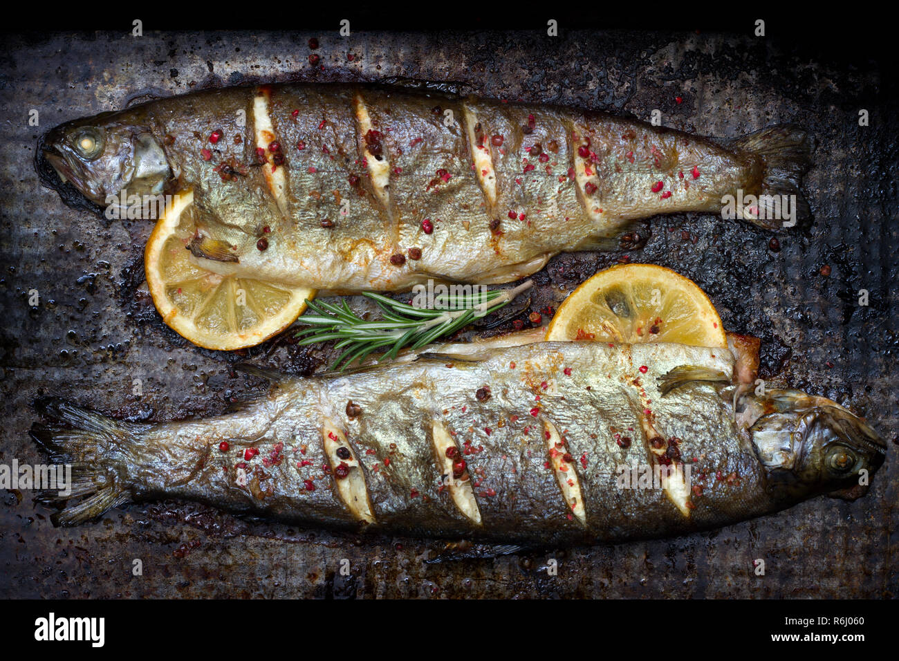 Gebackene Forelle Fisch mit Zitrone und Rosmarin und Gewürz auf grunge Metal Platte noch Leben Stockfoto
