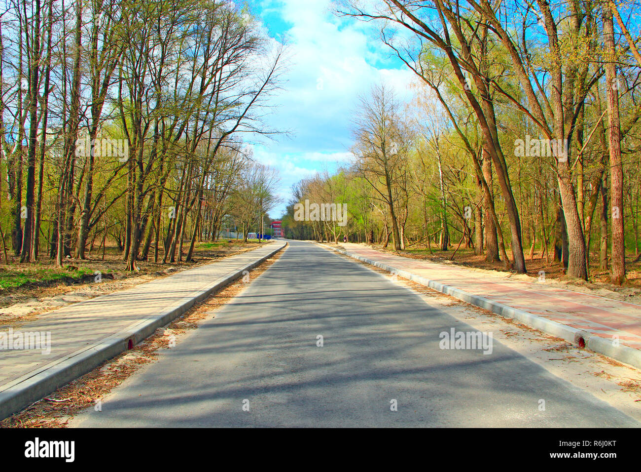 Die asphaltierte Straße in Spring Park. Leere Straße in Holz. Straße in der City Park zwischen Bäumen im Frühjahr Stockfoto