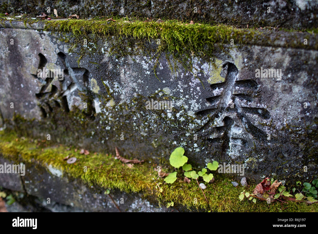 Script auf Stein, Okusha Togakushi Schrein in, Honshu, Japan Stockfoto