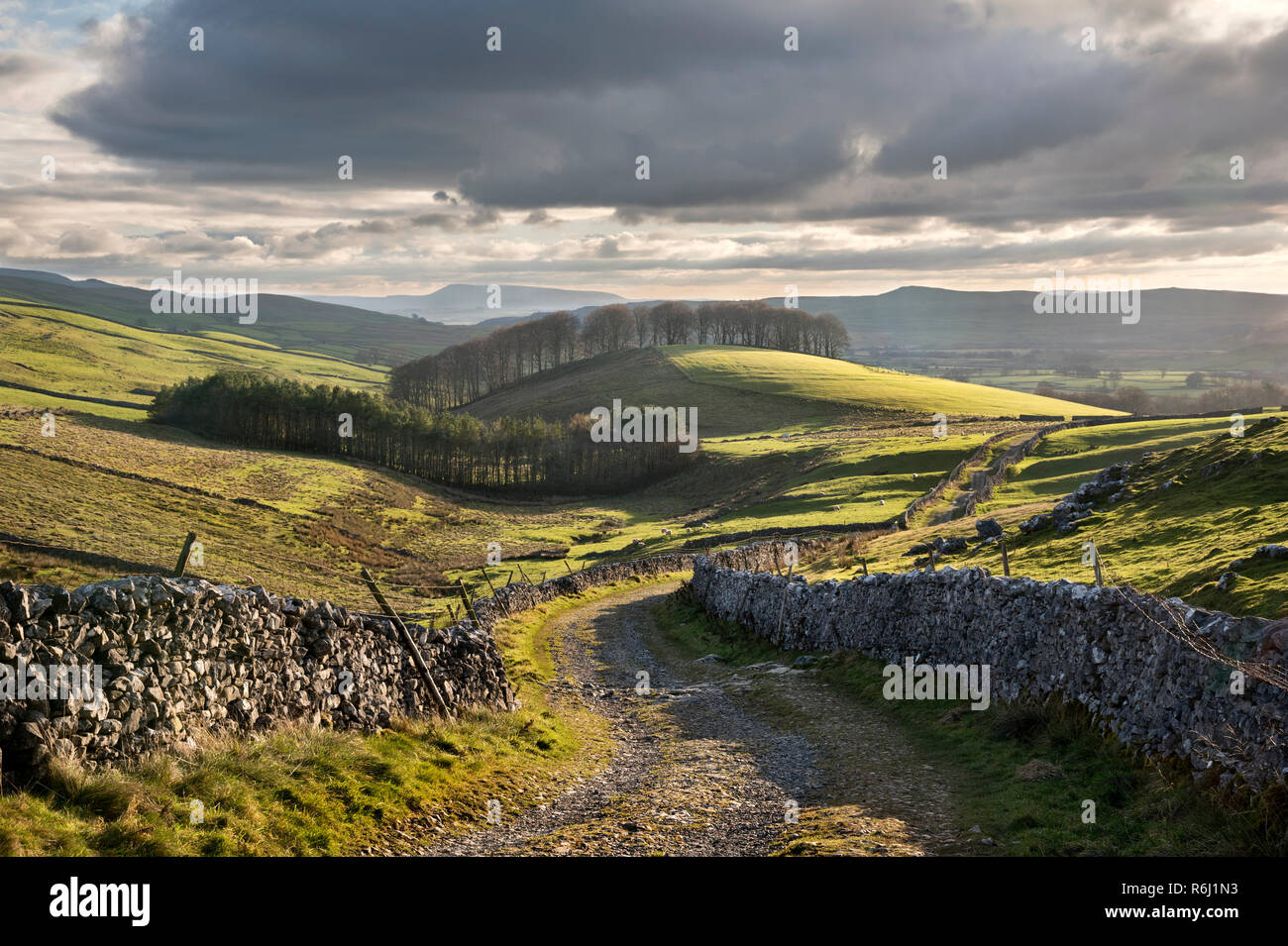 Herbst Nachmittag auf der Pennine Way, Horton-in-Ribblesdale, Yorkshire Dales National Park Stockfoto