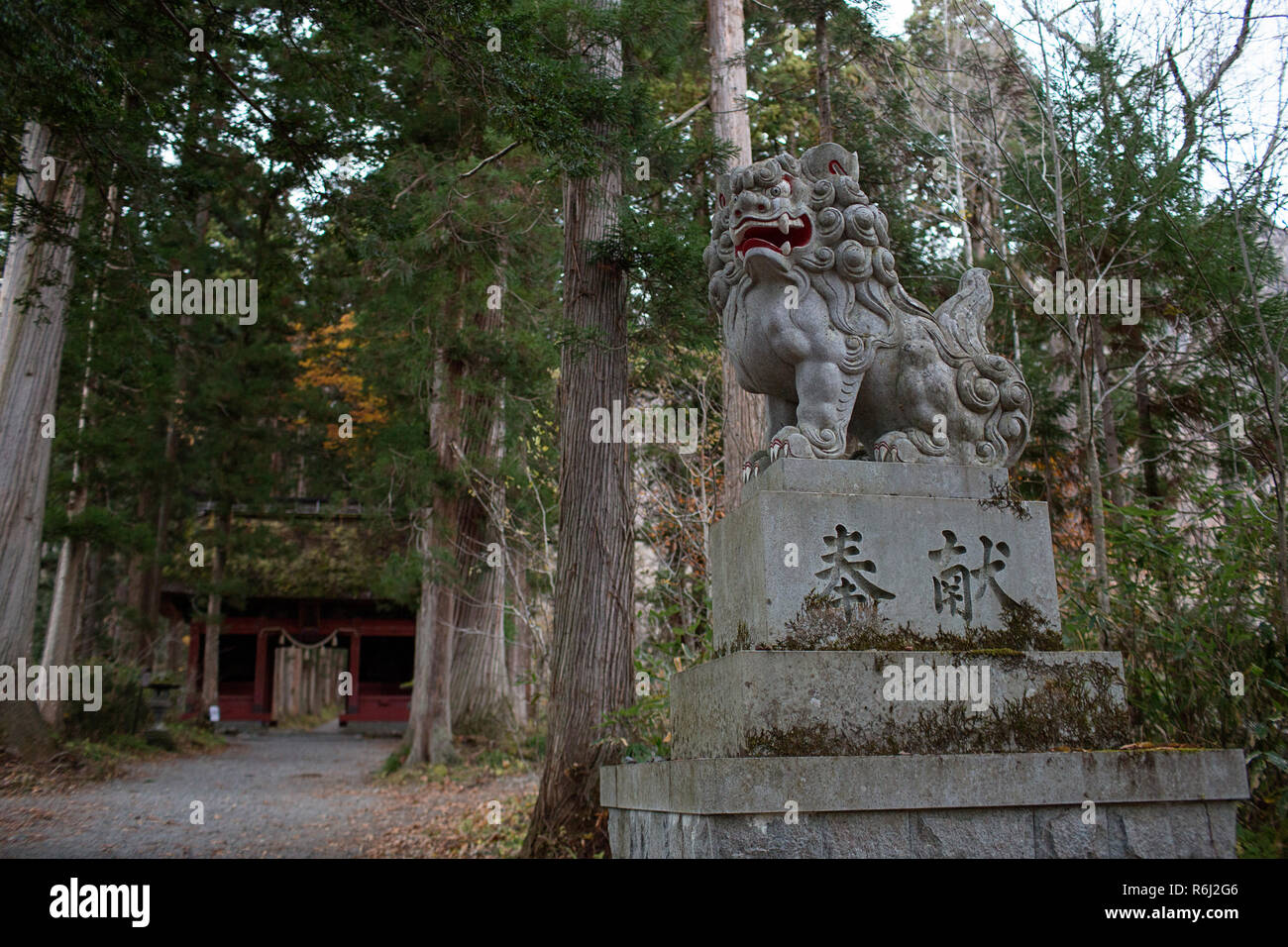 Eingang an Okusha Togakushi Schrein in, Honshu, Japan Stockfoto