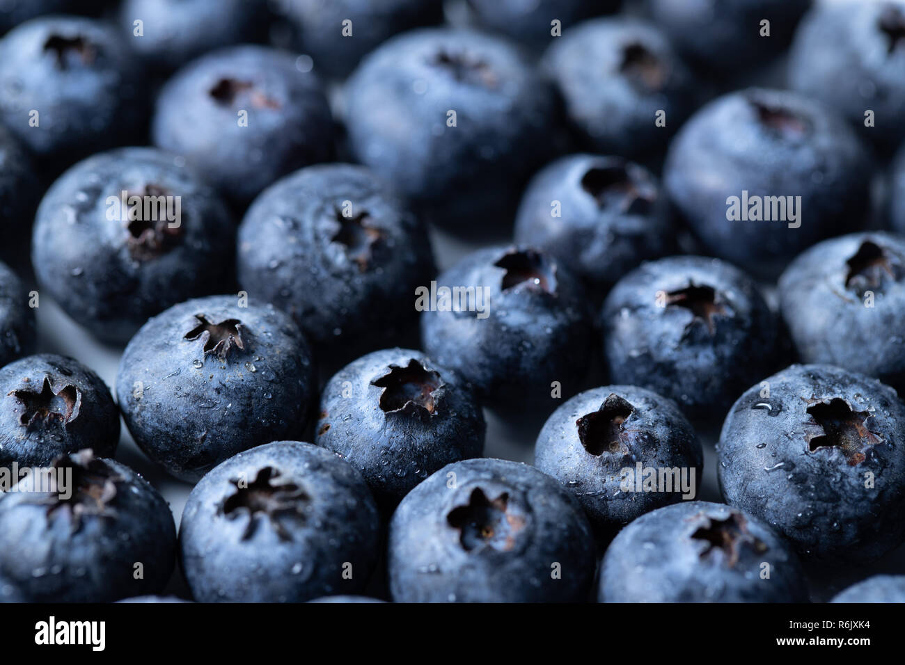 Ein Makro geschossen von Blaubeeren in Wassertropfen bedeckt. Stockfoto