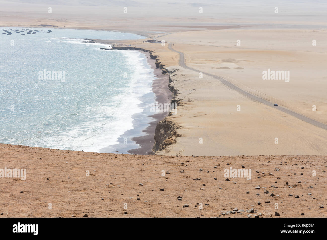 Flamingos chilenos in der nationalen Reserve von Paracas, Peru Stockfoto