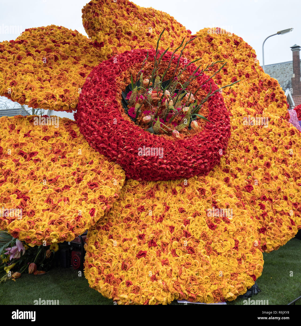 Zusammenfassung Hintergrund. In der Nähe von orange und rote Tulpen Blumen Stockfoto