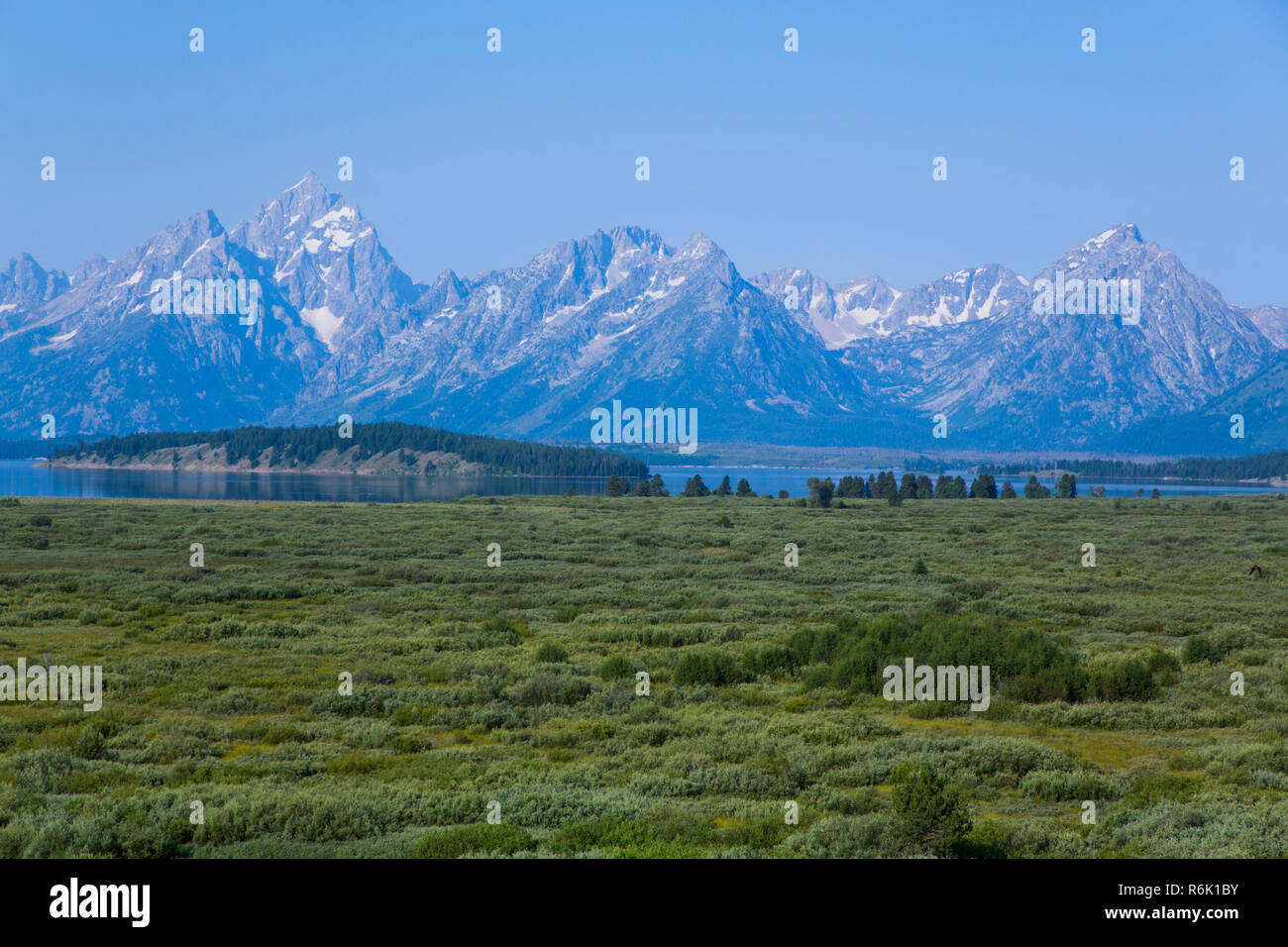 Teton Bergkette mit Jackson Lake, Grand Teton National Park, Wyoming, USA Stockfoto