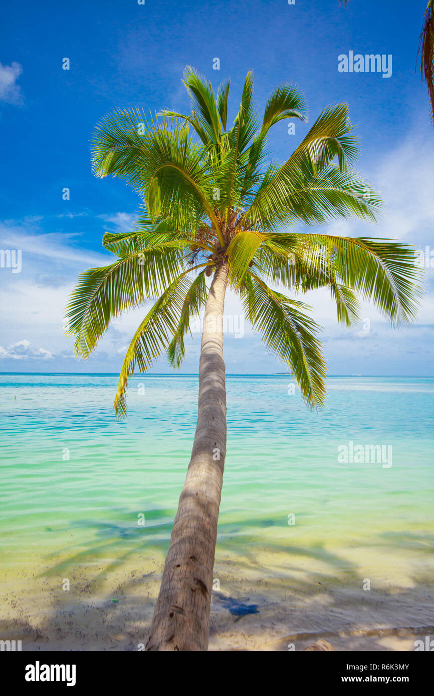 Ferienparadies Stockfoto