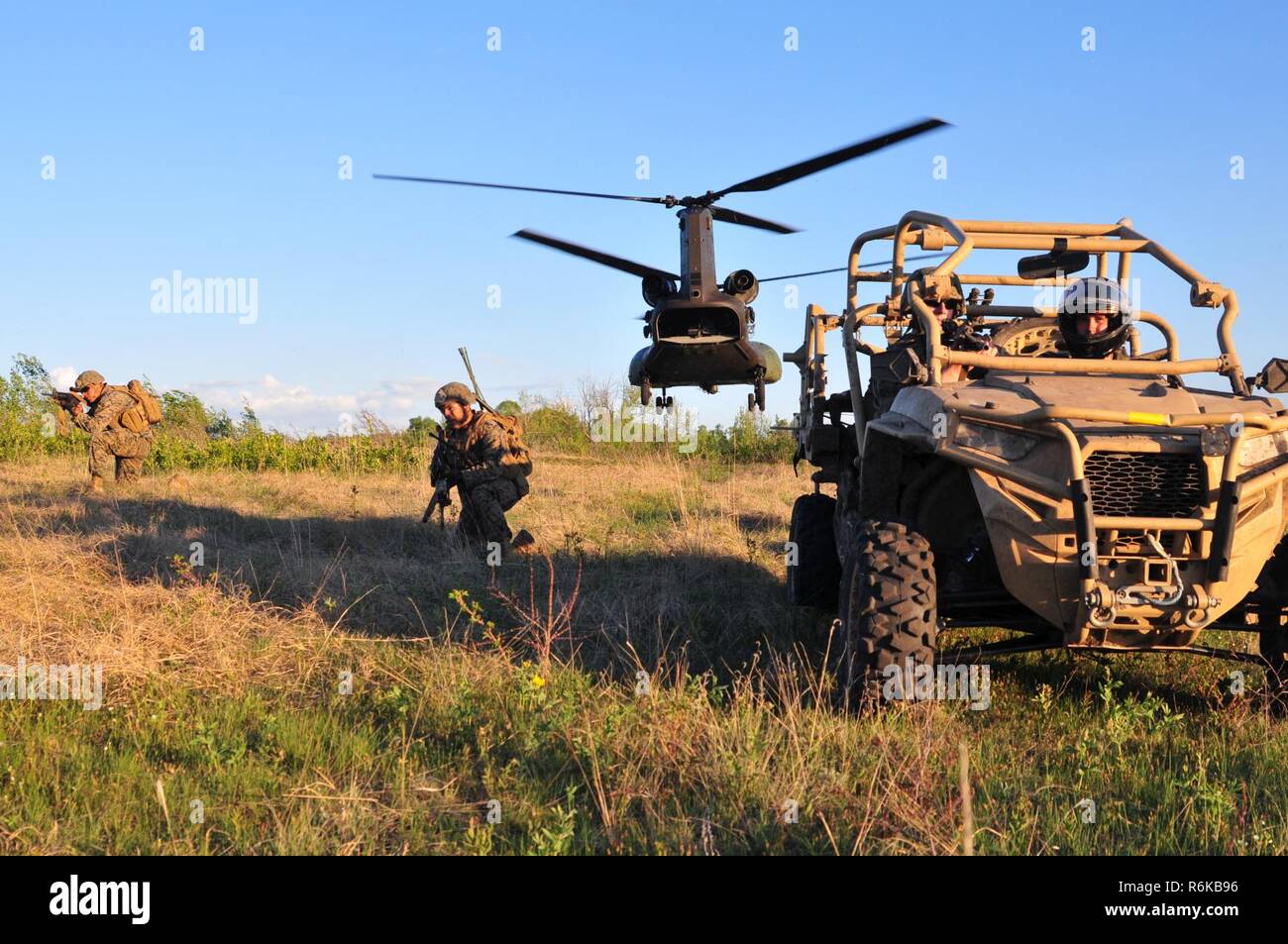 Marines mit 3 Air Naval Geschützfeuer Liaison von Bell Gardens, California, sichern ihre Position nach dem Verlassen eines CH-147 F von Royal Canadian Air Force 450 Squadron während Ahorn lösen 17 am Lager Wainwright, Alberta, Kanada, am 21. Mai 2017. Das US-Militär ist die Bereitstellung einer breiten Palette von Kampf- und Stützelemente für Premier Brigade der kanadischen Armee-Validierung Übung gestaltete Einheit Bereitschaft und die Interoperabilität zu verbessern. Stockfoto