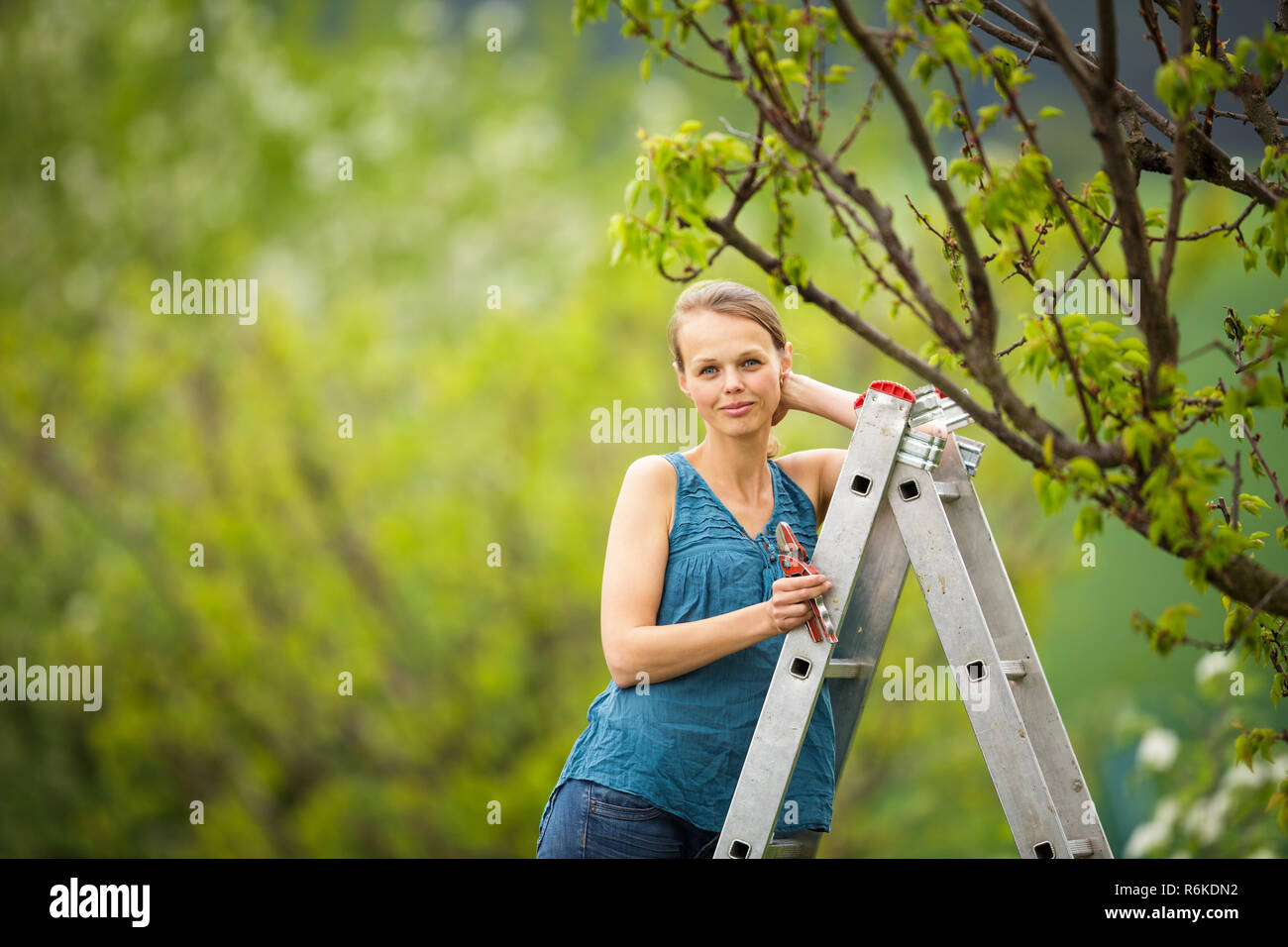 Mädchen apfelbaum schneiden im gärten Fotos und Bildmaterial in hoher