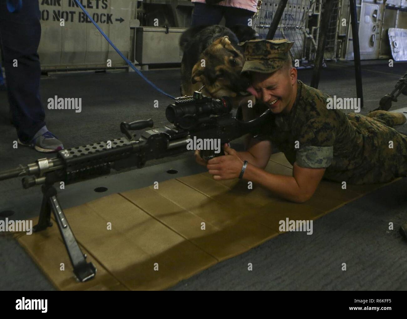 Einen Welpen mit dem Blindenhund Welpe Das Programm zeigt seine Zuneigung für einen Marine an Bord der USS Kearsarge (LHD-3), 25. Mai 2017. Us-Marines und Matrosen angezeigt, verschiedenen Waffensystemen, Boden und Luft fahrzeuge für die lokale New York Gemeinschaft zu besuchen und mehr über die Navy-Marine Corps Team während der Fleet Week New York, Mai 24-29 erfahren. Stockfoto