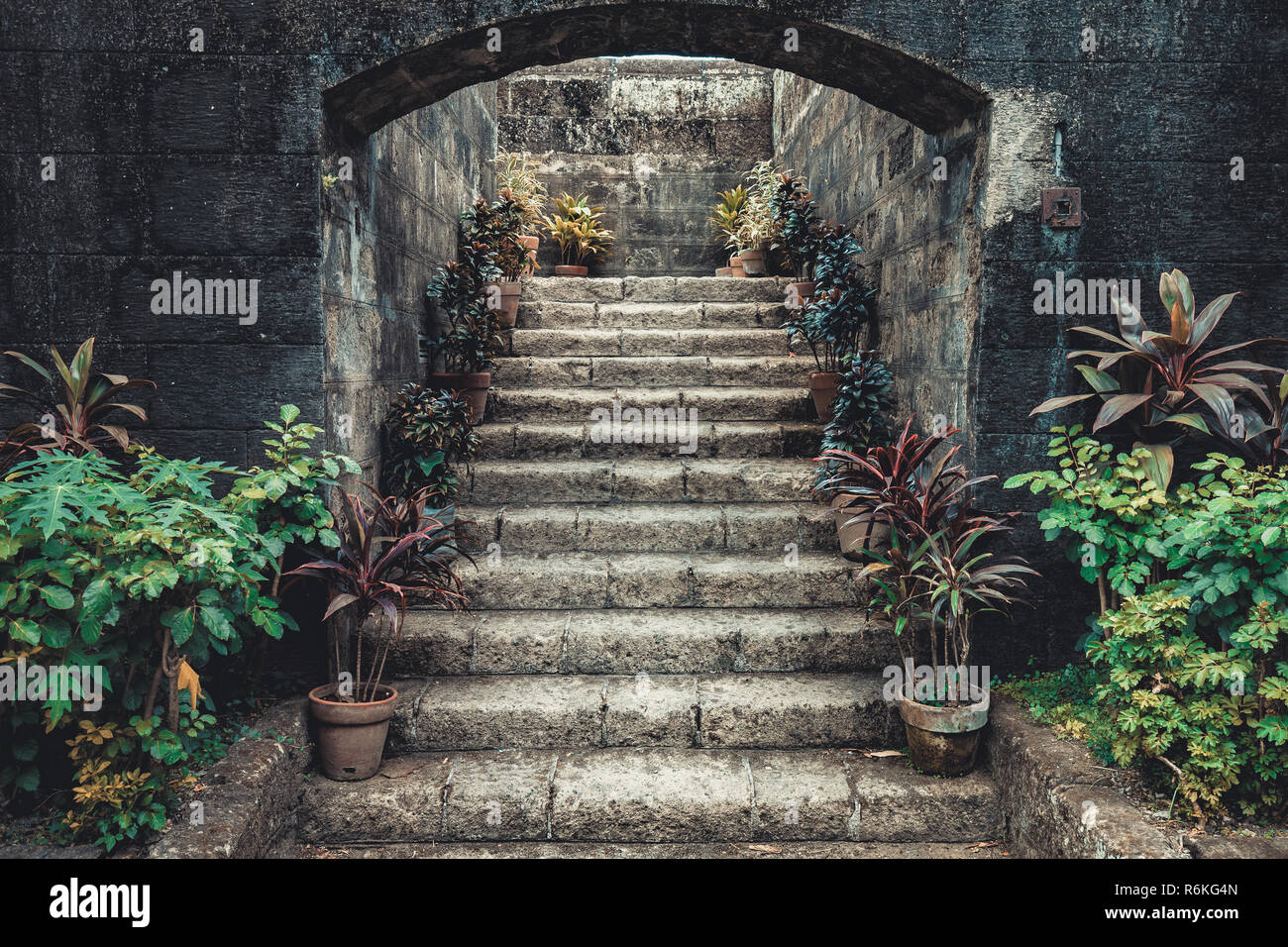 Vintage Steintreppe durch vergossene Blumen umgeben. Märchenhafte Landschaft der MOSS-alte Eingang mit Pflanzen an den Seiten bedeckt. Stilvolle asiatische Einrichtung. Idealer Hintergrund für Collagen. Stockfoto