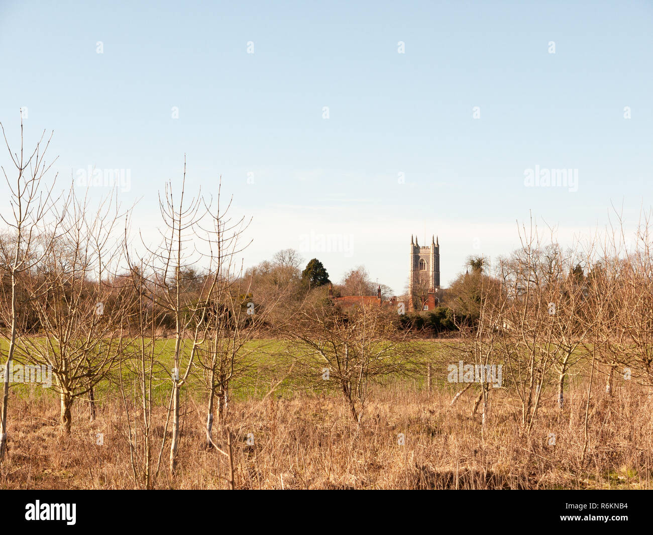 Kirchturm im Abstand über Feld aus gras natur Stockfoto