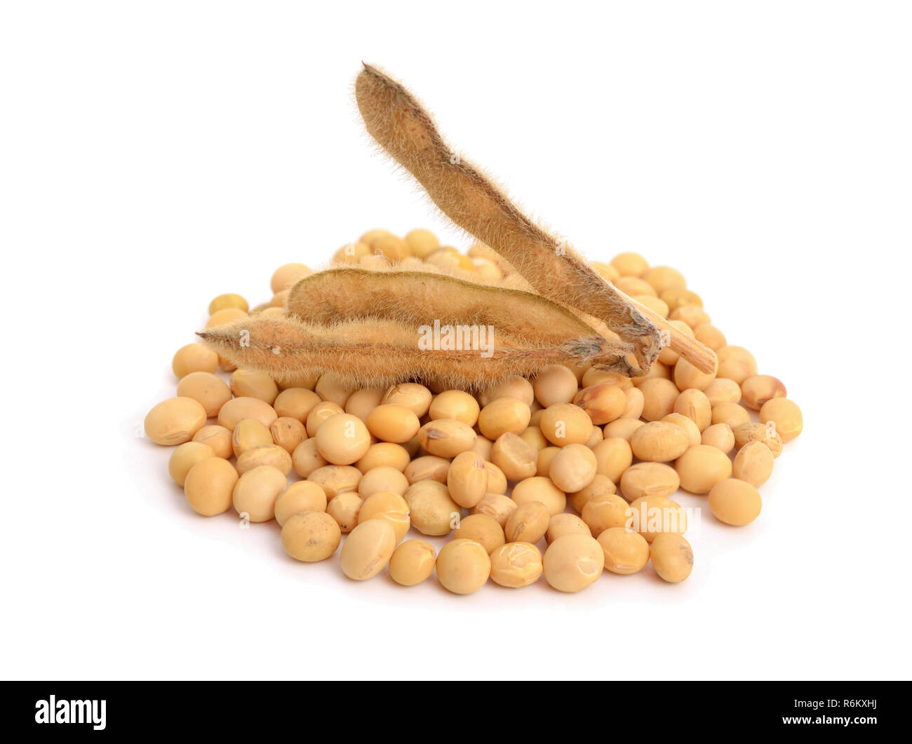 Getrocknete Soja Hülsen mit Samen. Isplated auf weißem Hintergrund. Stockfoto