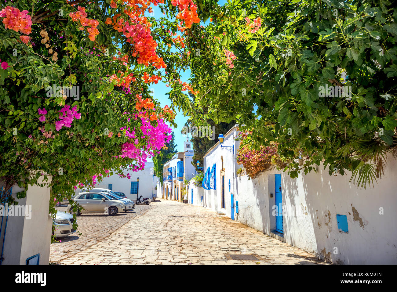 Straße in den Fokus auf blühende Bäume in Blau und Weiße Stadt Sidi Bou Said. Tunesien, Nordafrika Stockfoto