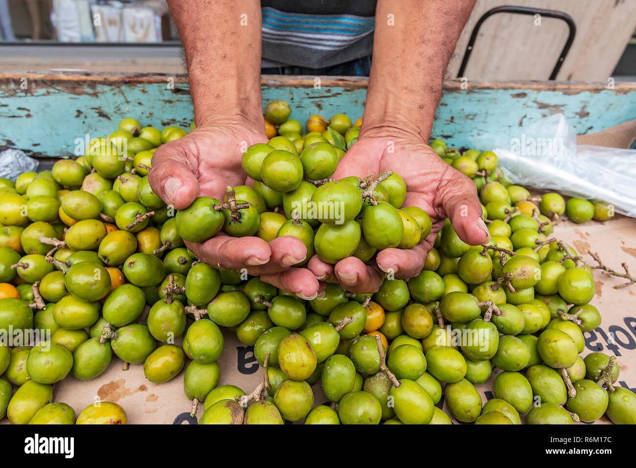 Chili (auch Chili geschrieben) Pflaumen zum Verkauf entlang der Swan Street in Barbados. Sie schmecken wie eine Mischung aus Melone und eine Traube. Stockfoto