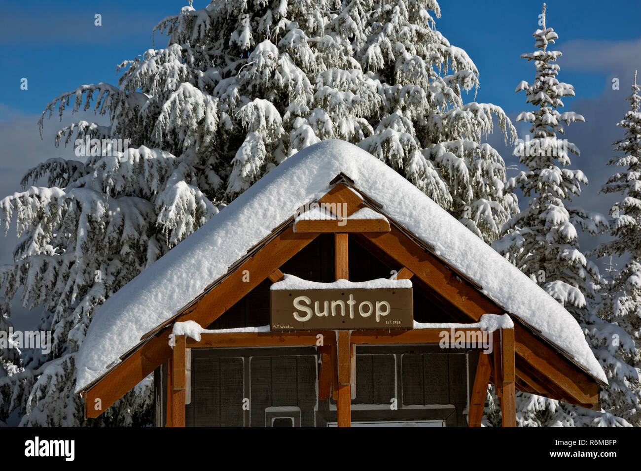 WA 15403-00 ... WASHINGTON - Schneebedeckte Bäume rund um den Schnee Parkplatz und Plumpsklo auf dem Parkplatz des Suntop Berg bedeckt. Stockfoto