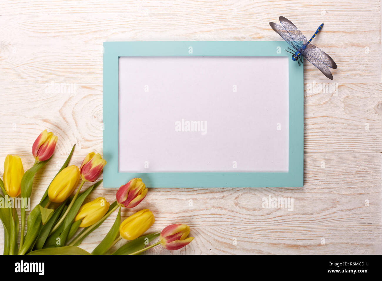 Leeres Blatt und Tulpen. Stockfoto