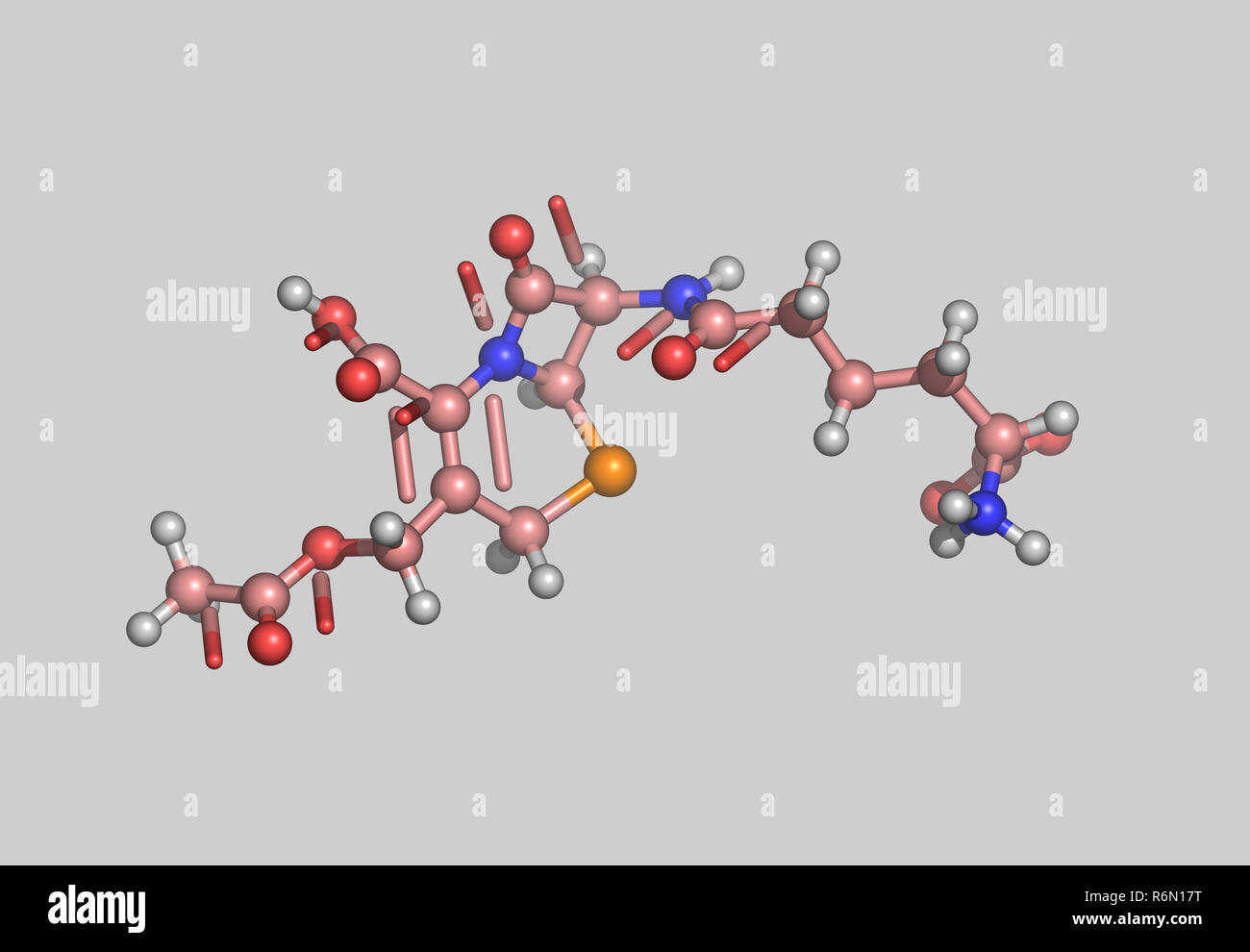 Cephalosporin molekularen Modell Stockfoto