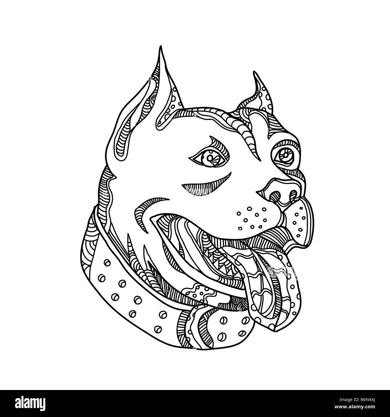 Pit Bull Head Doodle Kunst Stockfoto