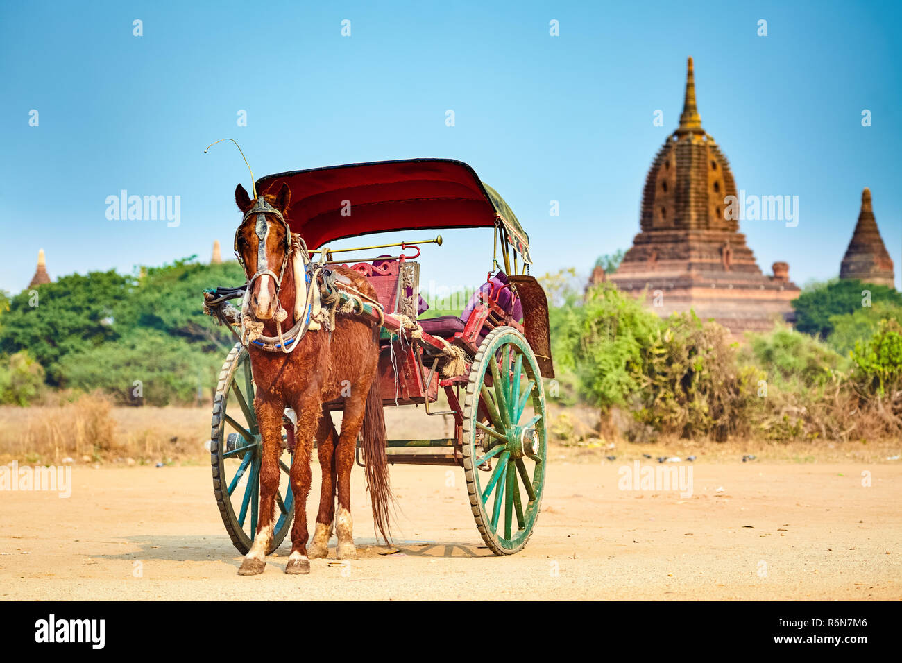Pferde Warenkorb warten auf Touristen. Bagan, Myanmar Stockfoto