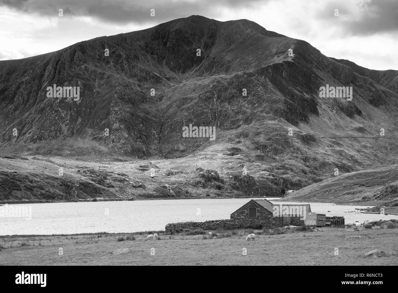 Schwarze und weiße schöne Landschaft Bild der Landschaft um Llyn Ogwen in Snowdonia während der frühen Herbst Stockfoto