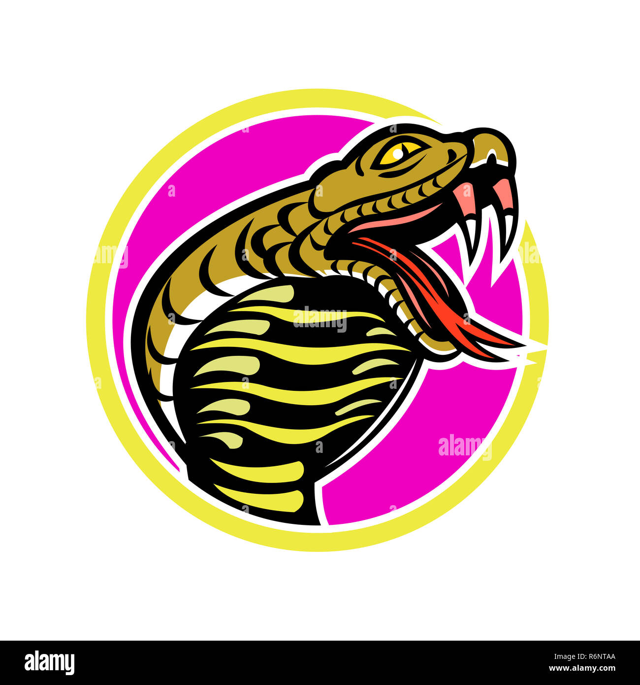 King Cobra Snake Maskottchen Stockfoto