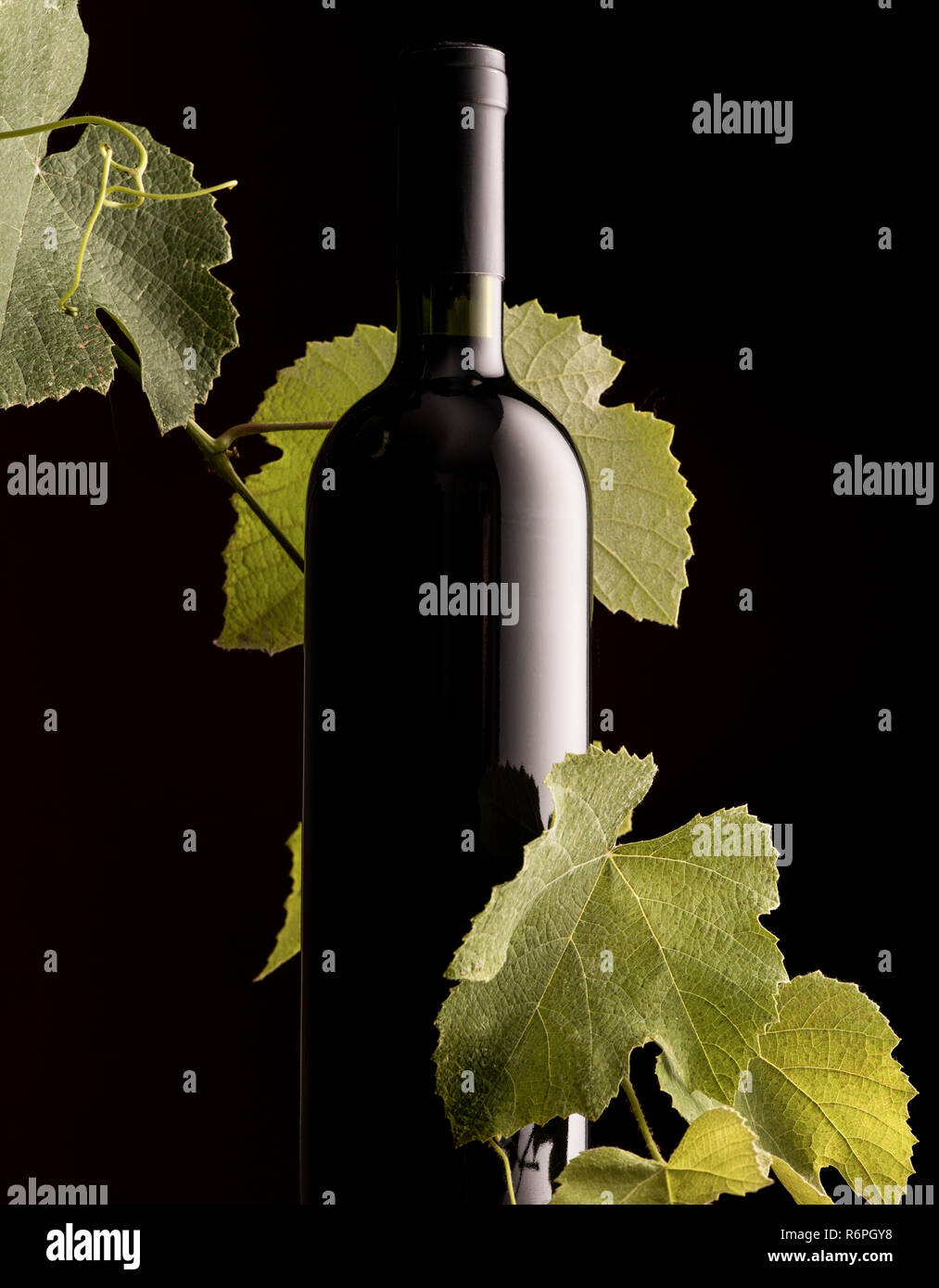 Rew Flasche Wein mit Wein Zweig Stockfoto