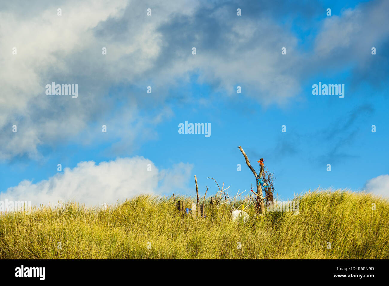 Landschaft mit Dünen auf der Insel Amrum Stockfoto